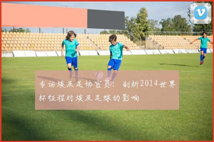 专访埃及足协官员：剖析2014世界杯征程对埃及足球的影响