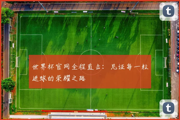 世界杯官网全程直击：见证每一粒进球的荣耀之路