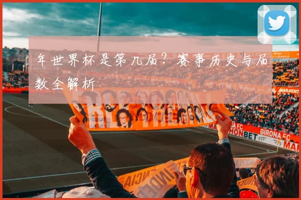 年世界杯是第几届？赛事历史与届数全解析