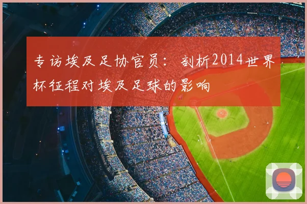 专访埃及足协官员：剖析2014世界杯征程对埃及足球的影响