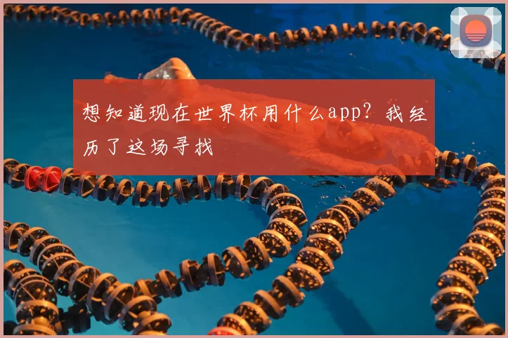 想知道现在世界杯用什么app?我经历了这场寻找
