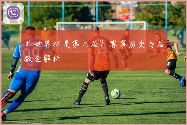 年世界杯是第几届？赛事历史与届数全解析